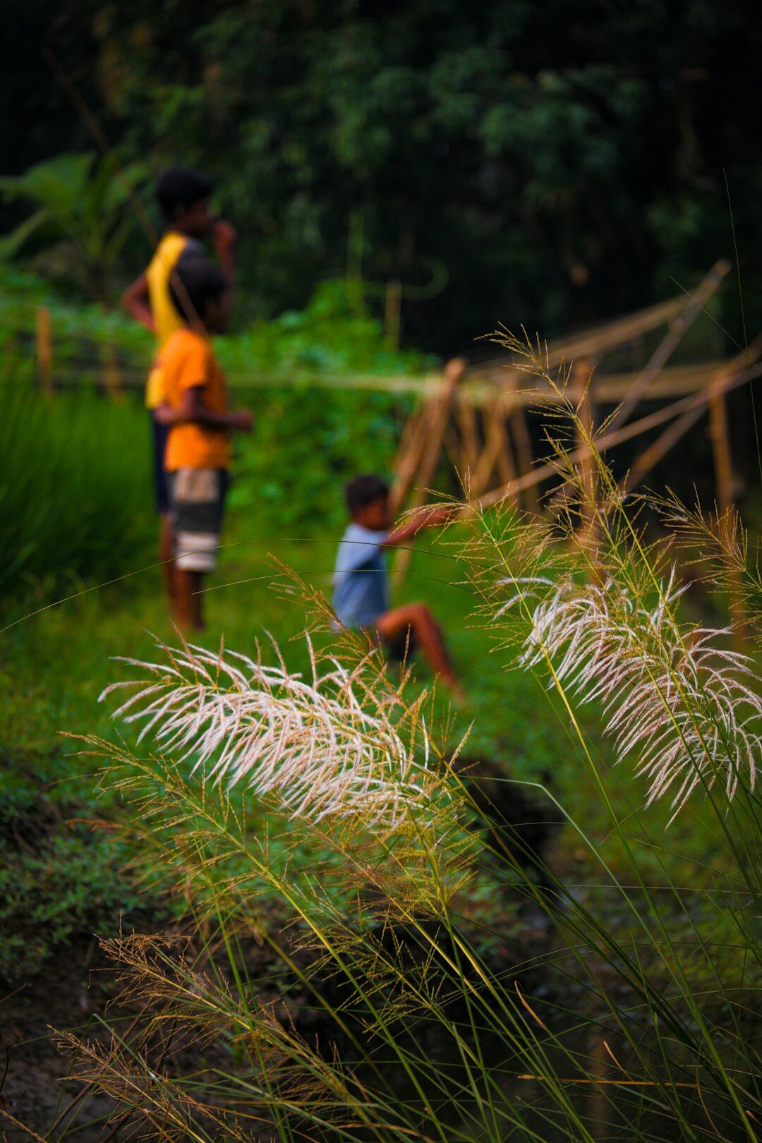 village community photographer
