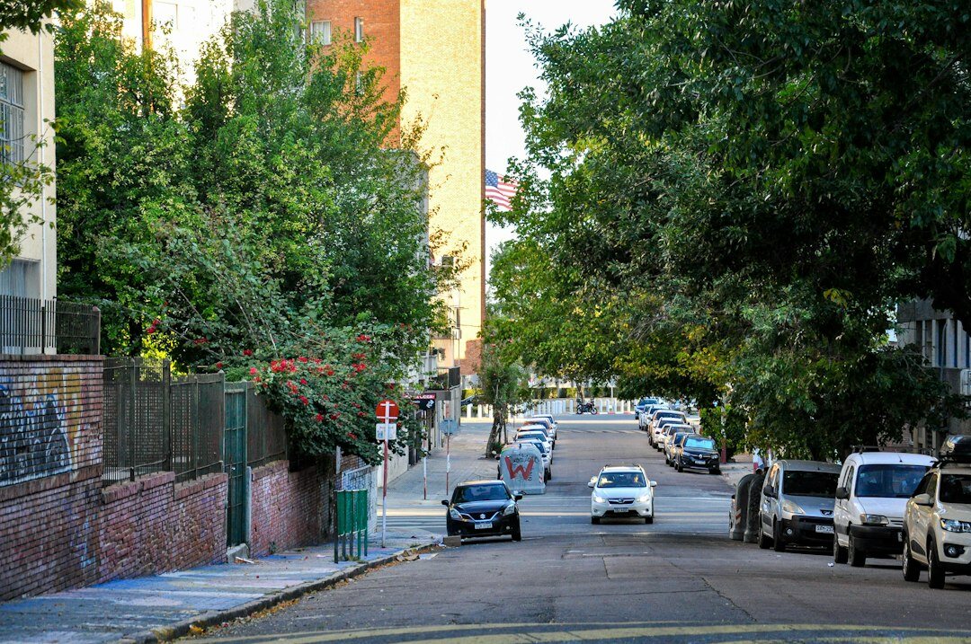 neighborhood street scene
